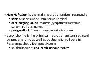 • Acetylcholine is the main neurotransmitter secreted at
• somatic nerves (at neuromuscular junction)
• at all preganglionic autonomic (sympathetic as well as
parasympathetic) nerves
• postganglionic fibres in parasympathetic system
• acetylcholine is the principal neurotransmitter secreted
by preganglionic as well as postganglionic fibers in
Parasympathetic Nervous System.
• so, also known as cholinergic nervous system
 