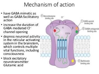 Mechanism of action
• have GABA mimetic as
well as GABA facilitatory
action
• increase the duration of
GABA mediated Cl–
channel opening
• depress neuronal activity
in the reticular activating
system in the brainstem,
which controls multiple
vital functions, including
consciousness
• block excitatory
neurotransmitter
Glutamic acid
 