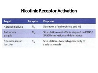 Nicotinic Receptor Activation
 