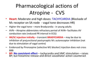 Pharmacological actions of
Atropine - CVS
• Heart: Moderate and high doses: TACHYCARDIA (Blockade of
M2 receptor on SA node - vagal tone decreases HR)
– Higher the vagal tone – more Bradycardia - in young adults
– AVN – Atropine abbreviates refractory period of AVN– facilitates AV
conduction rate (reduced PR interval in ECG)
– IM/SC injection initially – transient BRADYCARDIA – may be due to
inhibition of prejunctional postsynaptic M1 autoreceptor inhibition (not
due to stimulation of vagal centre)
– Evidenced by Pirenzepine (selective M1 blocker) injection does not cross
BBB
• BP: No consistent effect – tachycardia and VMC stimulation – raises
BP; but histamine release and direct vasodilator action counteract
 