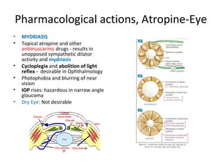 Pharmacological actions, Atropine-Eye
• MYDRIASIS
• Topical atropine and other
antimuscarinic drugs - results in
unopposed sympathetic dilator
activity and mydriasis
• Cycloplegia and abolition of light
reflex - desirable in Ophthalmology
• Photophobia and blurring of near
vision
• IOP rises: hazardous in narrow angle
glaucoma
• Dry Eye: Not desirable
 