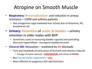 Atropine on Smooth Muscle
• Respiratory: Bronchodilatation and reduction in airway
resistance – COPD and asthma patients
– Also antagonizes vagal mediated over activity due to Histamine, PG,
leucotrienes etc.
• Urinary: Relaxation of ureter & bladder – urinary
retention in older males with BHP
– Sometimes useful in increasing bladder capacity and controlling
detrussor hyperreflexia - neurogenic bladder/enuresis
• Visceral SM: Relaxation – mediated by M3 blockade
– Tone and amplitude of contraction of Stomach and Intestine reduced
• Passage of chyme reduced – CONSTIPATON and relieve of SPASM
– But, less peristalsis suppression – ENS
– More effective to exogenous ACh administration
 