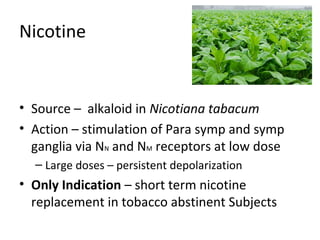 Nicotine
• Source – alkaloid in Nicotiana tabacum
• Action – stimulation of Para symp and symp
ganglia via NN and NM receptors at low dose
– Large doses – persistent depolarization
• Only Indication – short term nicotine
replacement in tobacco abstinent Subjects
 