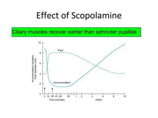 Effect of Scopolamine
Ciliary muscles recover earlier than sphincter pupillae
 