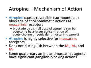 Atropine – Mechanism of Action
• Atropine causes reversible (surmountable)
blockade of cholinomimetic actions at
muscarinic receptors
– blockade by a small dose of atropine can be
overcome by a larger concentration of
acetylcholine or equivalent muscarinic agonist
• Atropine is highly selective for muscarinic
receptors
• Does not distinguish between the M1, M2, and
M3
• Some quaternary amine antimuscarinic agents
have significant ganglion-blocking actions
 