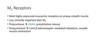 M2 Receptors
• Most highly expressed muscarinic receptors on airway smooth muscle
• Less clinically important then M3
• Pr...