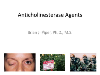 Anticholinesterase Agents

   Brian J. Piper, Ph.D., M.S.
 