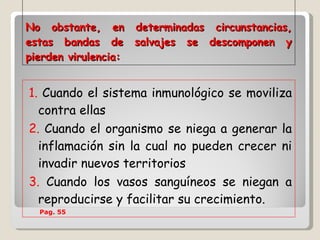 No obstante, en determinadas circunstancias, estas bandas de salvajes se descomponen y pierden virulencia:  1.  Cuando el sistema inmunológico se moviliza contra ellas  2.  Cuando el organismo se niega a generar la inflamación sin la cual no pueden crecer ni invadir nuevos territorios  3.  Cuando los vasos sanguíneos se niegan a reproducirse y facilitar su crecimiento.  Pag. 55 