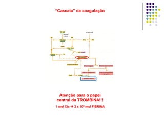 “Cascata” da coagulação




 Atenção para o papel
central da TROMBINA!!!
1 mol XIa  2 x 108 mol FIBRINA
 