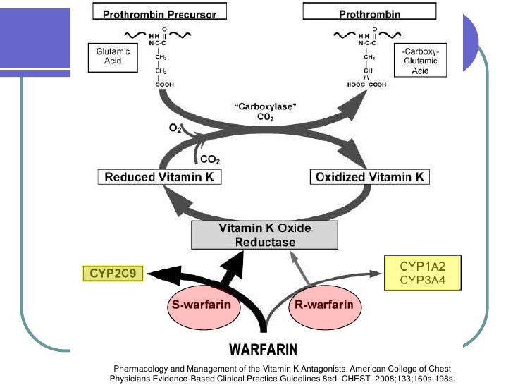 Anticoagulacion antagonistas vitamina k