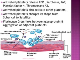  Activated platelets release ADP , Serotonin, PAF,
Platelet factor 4, Thromboxane A2.
 Activated platelets also activate other platelets.
 Activated platelets changes its shape from
Spherical to Satellite.
 Fibrinogen Cross-links between glycoprotein &
aggregation of adjacent platelets.
 