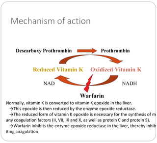Mechanism of action
Descarboxy Prothrombin Prothrombin
Reduced Vitamin K Oxidized Vitamin K
NADHNAD
Warfarin
Normally, vitamin K is converted to vitamin K epoxide in the liver.
→This epoxide is then reduced by the enzyme epoxide reductase.
→The reduced form of vitamin K epoxide is necessary for the synthesis of m
any coagulation factors (II, VII, IX and X, as well as protein C and protein S).
→Warfarin inhibits the enzyme epoxide reductase in the liver, thereby inhib
iting coagulation.
 