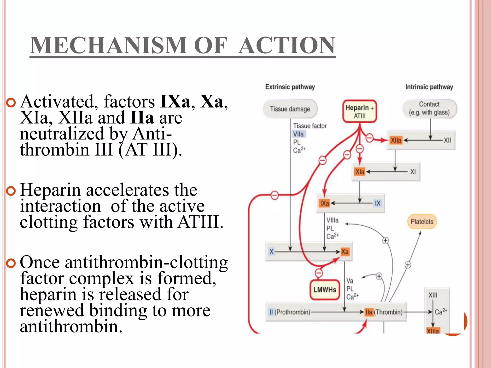 The Truth About Anticoagulants And Afib Post Ich Recovery - wffhbpg