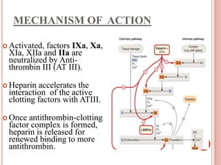 MECHANISM OF ACTION
 Activated, factors IXa, Xa,
XIa, XIIa and IIa are
neutralized by Anti-
thrombin III (AT III).
 Heparin accelerates the
interaction of the active
clotting factors with ATIII.
 Once antithrombin-clotting
factor complex is formed,
heparin is released for
renewed binding to more
antithrombin.
 
