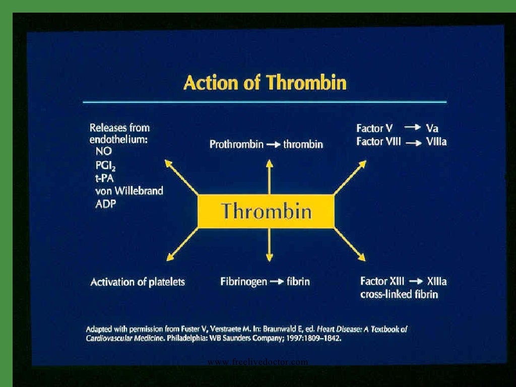 Anticoagulant, antithrombotic and anti platelet drugs