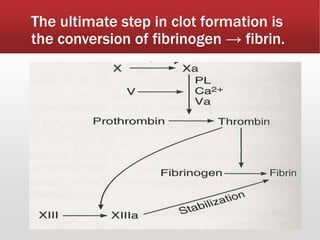 The ultimate step in clot formation is
the conversion of fibrinogen → fibrin.
 