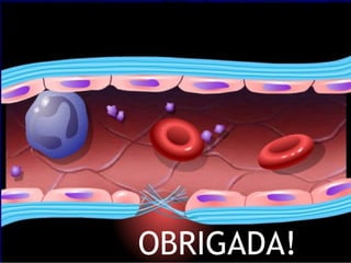 OBRIGADA!
 