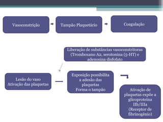 Vasoconstrição Tampão Plaquetário Coagulação
Ativação de
plaquetas expõe a
glicoproteína
IIb/IIIa
(Receptor de
fibrinogênio)
Exposição possibilita
a adesão das
plaquetas
Forma o tampão
Lesão do vaso
Ativação das plaquetas
Liberação de substâncias vasoconstritoras
(Tromboxano A2, serotonina (5-HT) e
adenosina disfofato
 