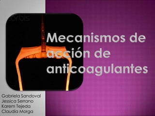 Mecanismos de acción de anticoagulantes Gabriela Sandoval Jessica Serrano Karem Tejeda Claudia Morga 
