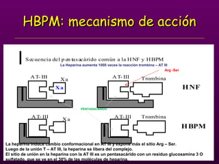 Xa
AT- III
AT- III
Xa
Xa
Trombina
Trombina
AT- III
AT- III
HNF
HBPM
Secuencia del p en tasacárido común a la HNF y HBPM
HBPM: mecanismo de acciónHBPM: mecanismo de acción
Arg -Ser
La Heparina aumenta 1000 veces la reacción trombina – AT III
La heparina induce cambio conformacional en AT III y expone más el sitio Arg – Ser.
Luego de la unión T – AT III, la heparina se libera del complejo.
El sitio de unión en la heparina con la AT III es un pentasacárido con un residuo glucosamina 3 O
sulfatado, que se ve en el 30% de las moléculas de heparina.
PENTASACARIDO
 