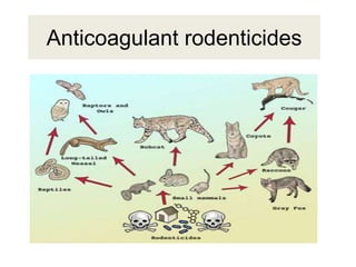 Anticoagulant rodenticides
 