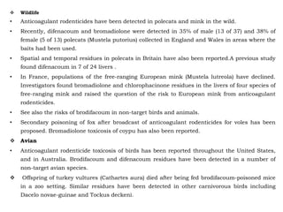  Wildlife
• Anticoagulant rodenticides have been detected in polecats and mink in the wild.
• Recently, difenacoum and bromadiolone were detected in 35% of male (13 of 37) and 38% of
female (5 of 13) polecats (Mustela putorius) collected in England and Wales in areas where the
baits had been used.
• Spatial and temporal residues in polecats in Britain have also been reported.A previous study
found difenacoum in 7 of 24 livers .
• In France, populations of the free-ranging European mink (Mustela lutreola) have declined.
Investigators found bromadiolone and chlorophacinone residues in the livers of four species of
free-ranging mink and raised the question of the risk to European mink from anticoagulant
rodenticides.
• See also the risks of brodifacoum in non-target birds and animals.
• Secondary poisoning of fox after broadcast of anticoagulant rodenticides for voles has been
proposed. Bromadiolone toxicosis of coypu has also been reported.
 Avian
• Anticoagulant rodenticide toxicosis of birds has been reported throughout the United States,
and in Australia. Brodifacoum and difenacoum residues have been detected in a number of
non-target avian species.
 Offspring of turkey vultures (Cathartes aura) died after being fed brodifacoum-poisoned mice
in a zoo setting. Similar residues have been detected in other carnivorous birds including
Dacelo novae-guinae and Tockus deckeni.
 