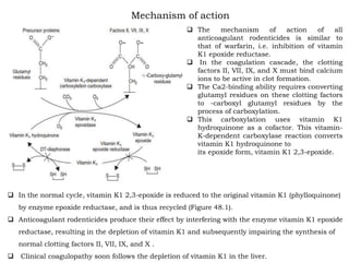Mechanism of action
 The mechanism of action of all
anticoagulant rodenticides is similar to
that of warfarin, i.e. inhibition of vitamin
K1 epoxide reductase.
 In the coagulation cascade, the clotting
factors II, VII, IX, and X must bind calcium
ions to be active in clot formation.
 The Ca2-binding ability requires converting
glutamyl residues on these clotting factors
to -carboxyl glutamyl residues by the
process of carboxylation.
 This carboxylation uses vitamin K1
hydroquinone as a cofactor. This vitamin-
K-dependent carboxylase reaction converts
vitamin K1 hydroquinone to
its epoxide form, vitamin K1 2,3-epoxide.
 In the normal cycle, vitamin K1 2,3-epoxide is reduced to the original vitamin K1 (phylloquinone)
by enzyme epoxide reductase, and is thus recycled (Figure 48.1).
 Anticoagulant rodenticides produce their effect by interfering with the enzyme vitamin K1 epoxide
reductase, resulting in the depletion of vitamin K1 and subsequently impairing the synthesis of
normal clotting factors II, VII, IX, and X .
 Clinical coagulopathy soon follows the depletion of vitamin K1 in the liver.
 