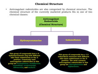Chemical Structure
• Anticoagulant rodenticides are also categorized by chemical structure. The
chemical structure of the currently marketed products fits in one of two
chemical classes:
Anticoagulant
Rodenticide
(Chemical Structure)
Hydroxycoumarins Indanediones
This group of compounds have a 4-
hydroxycoumarin ring with different
side-chain substituents at the 3-
position. Commonly used
anticoagulant rodenticides in this
group are bromadiolone, brodifacoum,
coumafuryl, coumatetralyl,
difenacoum, and warfarin.
This group of compounds has a 1,3
indanedione structure with different
side-chain substituents at the 2-
position. The most common
anticoagulant rodenticides in this
group are chlorophacinone and
diphacinone.
 