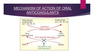 MECHANISM OF ACTION OF ORAL
ANTICOAGULANTS
 