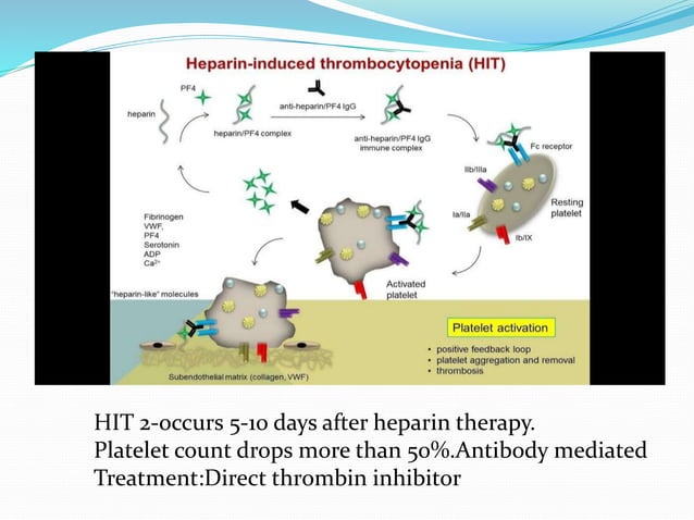 The Truth About Anticoagulants And Afib Post Ich Recovery - ajc412k