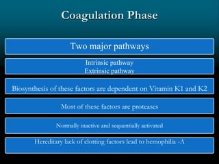 Coagulation Phase
Two major pathways
Biosynthesis of these factors are dependent on Vitamin K1 and K2
Most of these factors are proteases
Normally inactive and sequentially activated
Hereditary lack of clotting factors lead to hemophilia -A
Intrinsic pathway
Extrinsic pathway
 