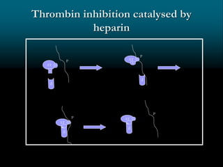 Thrombin inhibition catalysed by
heparin
AT
R
H
AT H
AT H
AT H
R
P
P
P
P
R
R
 
