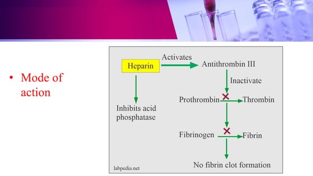 The Truth About Anticoagulants And Afib Post Ich Recovery - dveaqi0