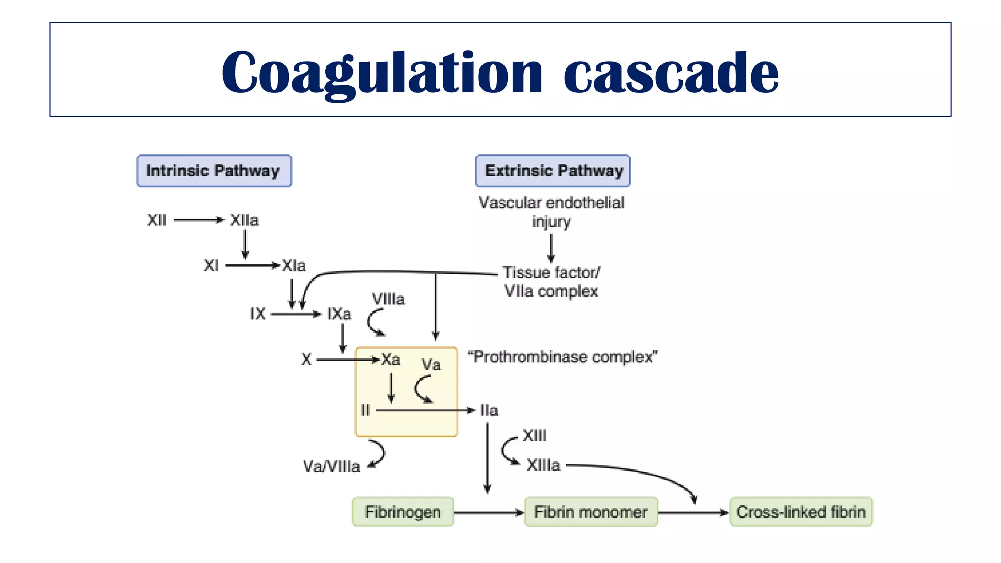 Anticoagulants and antiplatelet agents | PDF