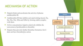 MECHANISM OF ACTION
 Heparin binds and accelerates the activity of plasma
antithrombin-III.
 Antithrombin-III then inhibits activated clotting factors Xa,
IIa, IXa, XIa, XIIa and XIIIa by forming stable complex
with them.
 At low concentration, heparin selectively inhibits the
conversion of prothrombin to thrombin.
 Heparin thus prevents further thrombus formation, but it
does not have thrombolytic action.
 