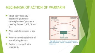 MECHANISM OF ACTION OF WARFARIN
 Block the vitamin K-
dependent glutamate
carboxylation of precursor
clotting factors II,VII,IX and
X,
 Also inhibits proteins C and
S
 Recovery needs synthesis of
new clotting factors
 Action is reversed with
vitamin K.
 