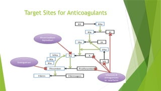 Target Sites for Anticoagulants
 