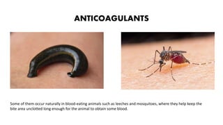 ANTICOAGULANTS
Some of them occur naturally in blood-eating animals such as leeches and mosquitoes, where they help keep the
bite area unclotted long enough for the animal to obtain some blood.
 