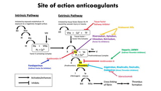 Site of action anticoagulants
 