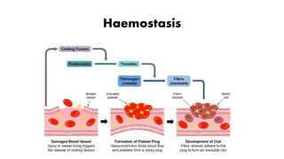 Haemostasis
 