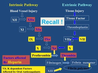 Intrinsic Pathway

Extrinsic Pathway
Tissue Injury

Blood Vessel Injury

Recall !

XIIa

XII

Thromboplastin

XIa

XI

IXa

IX

VIIa
Xa

X
Factors affected
By Heparin

Prothrombin

Vit. K dependent Factors
Affected by Oral Anticoagulants

Tissue Factor

Fibrinogen
XIII

VII

X
Thrombin
Fribrin monomer
Fibrin polymer

 