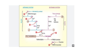 Anticoagulant drugs and anticoagulant drug mechanism | PPTX