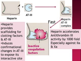 +
Heparin accelerates
Antithrombin III
activity by 1000 fold
Especially against IIa
& Xa
Fast
Heparin
AT-III
complex
AT-III
Heparin
•Heparin
provides
scaffolding for
clotting factors
& AT-III
•Induces
confirmational
changes in AT-III
to expose its
interactive site
 
