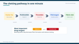 The clotting pathway in one minute Only the essential steps
Pharmacology • Anticoagulants
Factor Xa
Key enzyme
Prothrombin
Factor II
Thrombin
Factor IIa
Fibrinogen
Soluble protein
Fibrin clot
Stable mesh
converts converts converts forms
Most important
drug targets
Factor Xa and Thrombin (IIa)
Blocking either step decreases fibrin formation and reduces clotting.
5
 