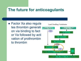 The future for anticoagulants
 Factor Xa also regula
tes thrombin generati
on via binding to fact
or Va followed by acti
vation of prothrombin
to thrombin
 