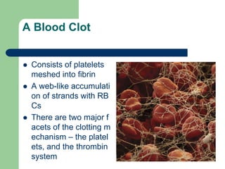 A Blood Clot
 Consists of platelets
meshed into fibrin
 A web-like accumulati
on of strands with RB
Cs
 There are two major f
acets of the clotting m
echanism – the platel
ets, and the thrombin
system
 