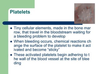 Platelets
 Tiny cellular elements, made in the bone mar
row, that travel in the bloodstream waiting for
a bleeding problem to develop
 When bleeding occurs, chemical reactions ch
ange the surface of the platelet to make it act
ivated and become “sticky”
 These activated platelets begin adhering to t
he wall of the blood vessel at the site of blee
ding
 