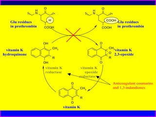 H
N

Glu residues
in prothrombin

O

H
N

O

H

COOH

COOH

COOH

O

OH

CH3

CH3

vitamin K
hydroquinone

Gla residues
in prothrombin

O
R

R

vitamin K
2,3-epoxide

O

OH

vitamin K
reductase

vitamin K
epoxide
reductase
O
CH3
R
O

vitamin K

Anticoagulant coumarins
and 1,3-indandiones

 