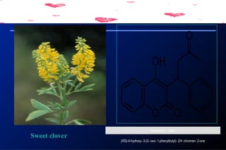 Sweet clover
Systematic name
(RS)-4-hydroxy- 3-(3- oxo- 1-phenylbutyl)- 2H- chromen- 2-one
 