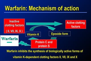 Warfarin: Mechanism of actionWarfarin: Mechanism of action
InactiveInactive
clotting factorsclotting factors
( II, VII, IX, X )( II, VII, IX, X )
Active clotting
factors
Vitamin KVitamin K Epoxide form
Epoxide reductase
Warfarin inhibits the synthesis of biologically active forms ofWarfarin inhibits the synthesis of biologically active forms of
vitamin K-dependent clotting factors II, VII, IX and Xvitamin K-dependent clotting factors II, VII, IX and X
WarfarinWarfarin
Protein C and
protein S
 